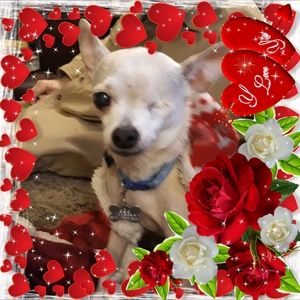 Meet your Posher, Doris